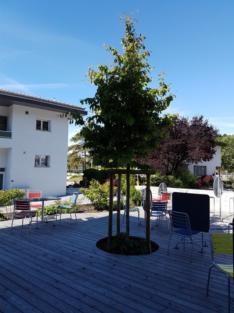 20160525 102149 scaled