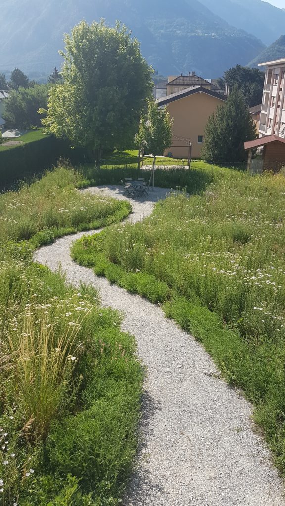 20190618 093501 scaled