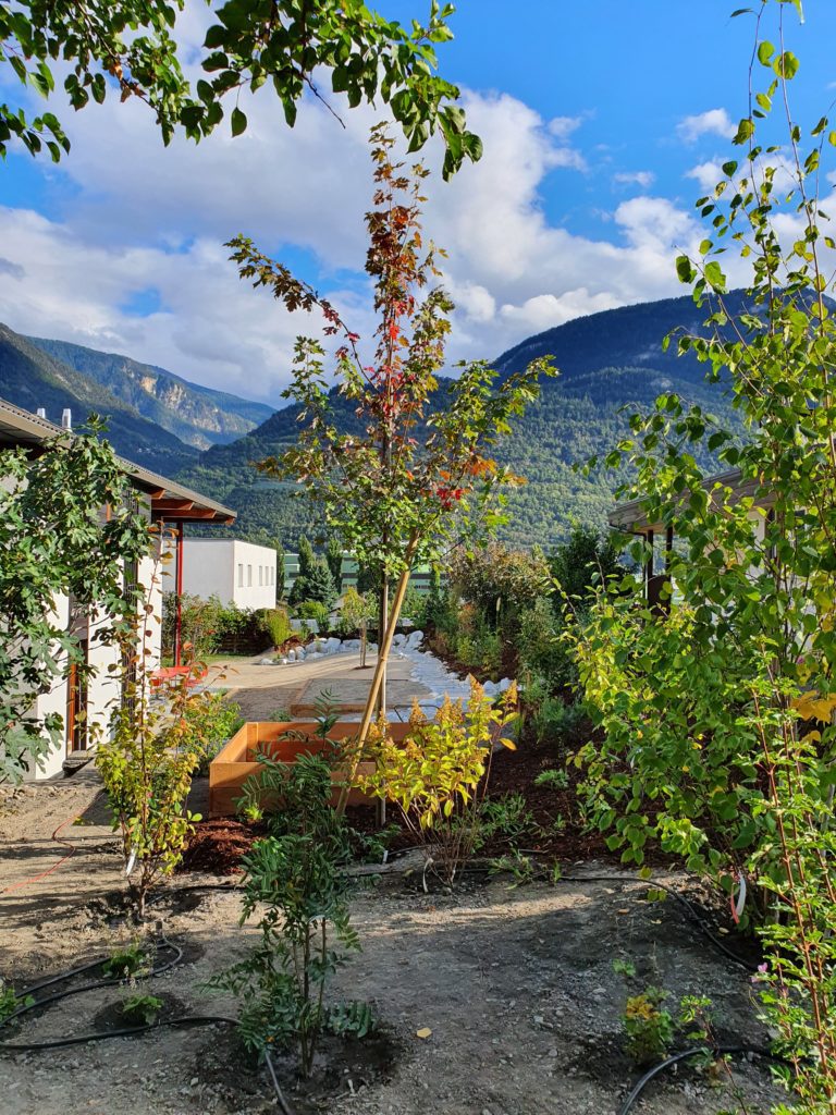 20200923 164736 scaled