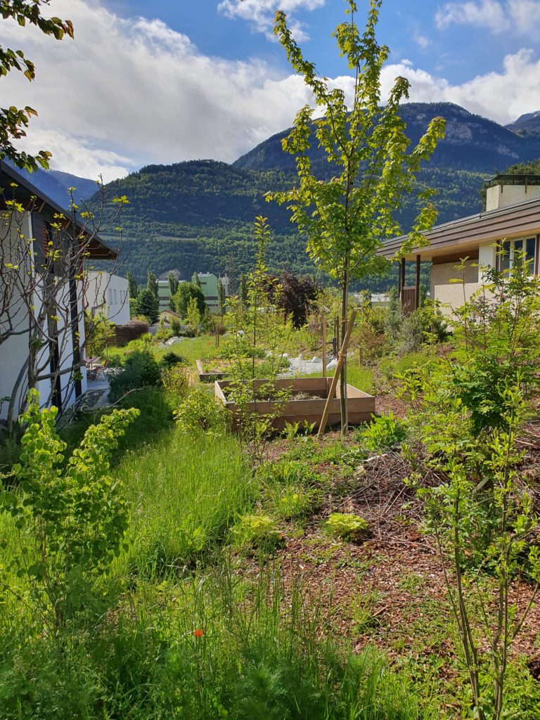 20210518 100829 scaled