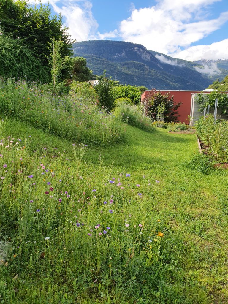 20210630 093850 scaled