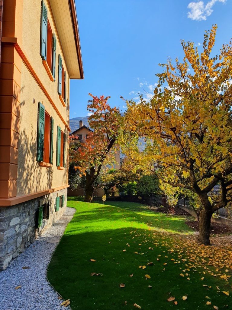 20211029 153852 1 scaled