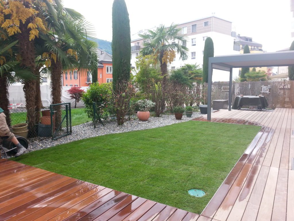 Thomas image juillet 2014 002 scaled