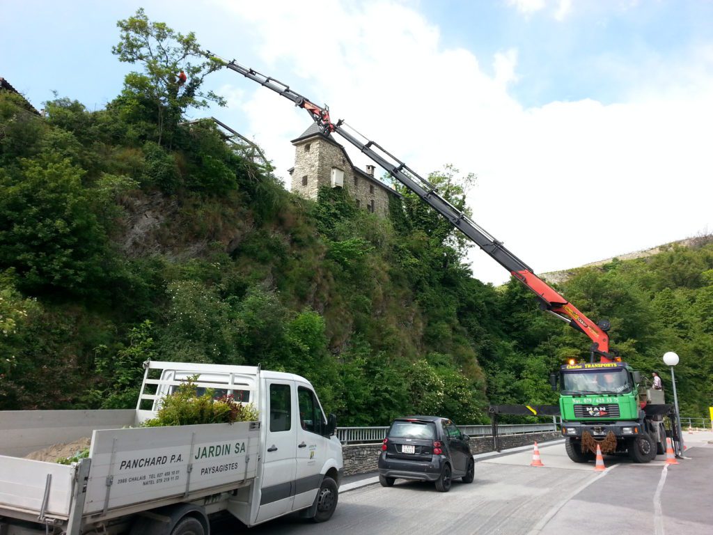 Thomas image juillet 2014 049 scaled