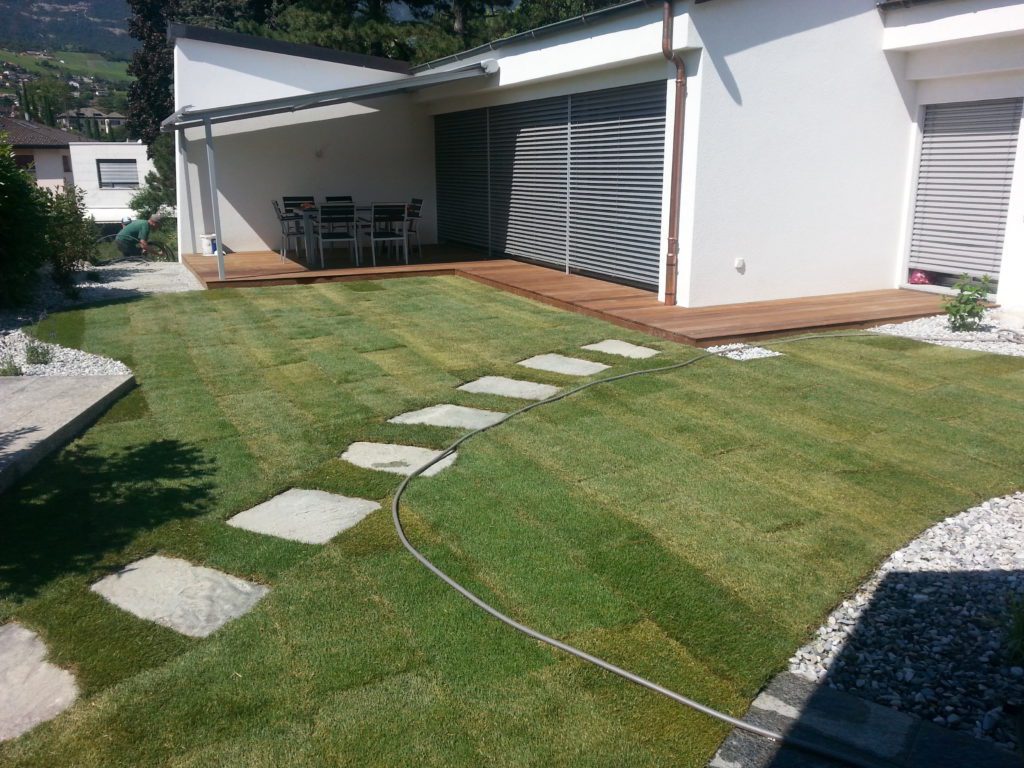 Thomas image juillet 2014 211 scaled